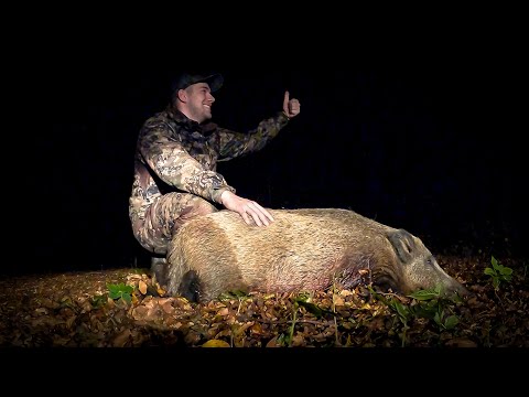 Video: Sådan Rejser Du Til Tyskland Som En Vild