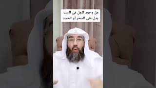 هل وجود النمل في البيت يدل على السحر أو العين؟