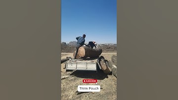 Workers Unloading Giant Tree Logs by Hand 💪
