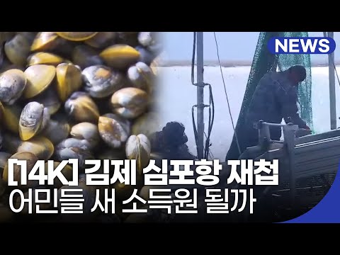 [14K] 김제 심포항 ‘백합 대신 재첩’…어민들 새 소득원 될까