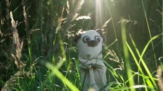 Lucky Cath - Summer