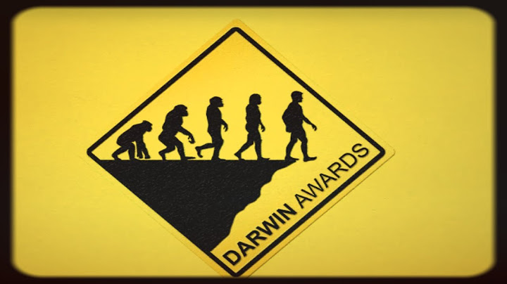 Los Premios Darwin: Cuando la estupidez humana es premiada.