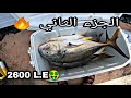 شاهد الجزئ الثانى من صيد وبيع الاسماك 💵💵