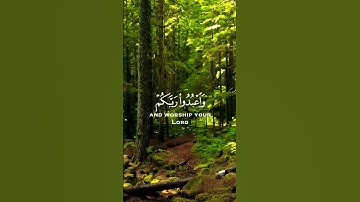 #سورة_الحج #الآية 77 ،#القران_الكريم #quran #surah #alhajj #ayat 77