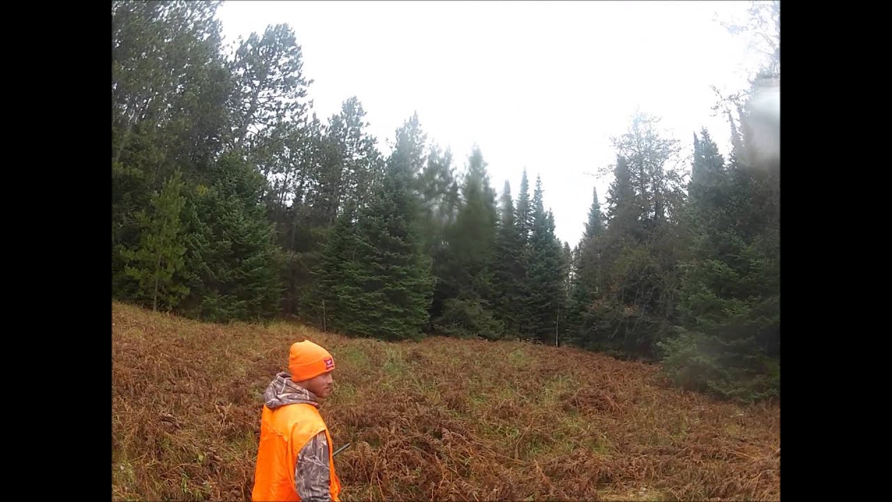 Grouse Hunting near Bigfork, Minnesota 2013 YouTube