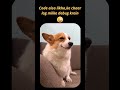 Code aisa likho, ke chaarlog milke debug krein😂