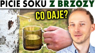 Czy warto pić SOK Z BRZOZY? Właściwości zdrowotne | Sok brzozowy, oskoła | Dr Bartek Kulczyński