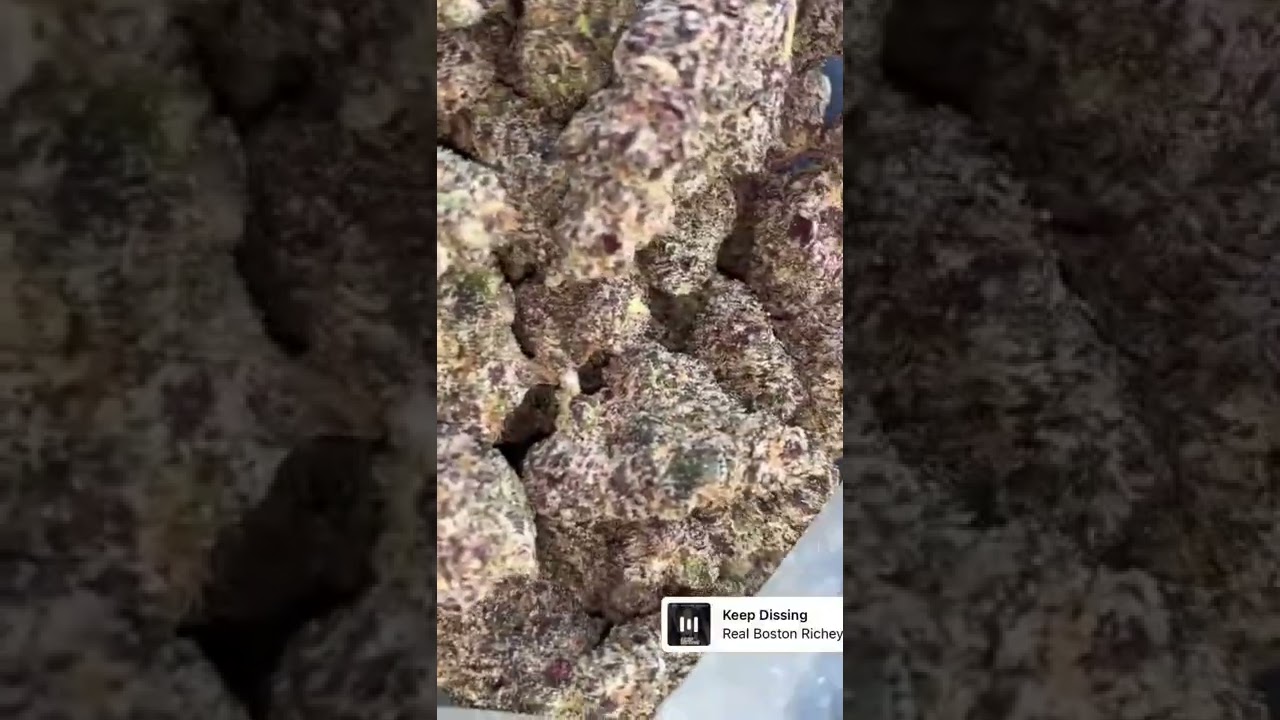 Pink runtz strain 🔥🔥🔥