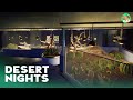 Desert Night Habitat- Aardvarks, Scorpions and Gila Monster - Speed Build - Planet Zoo