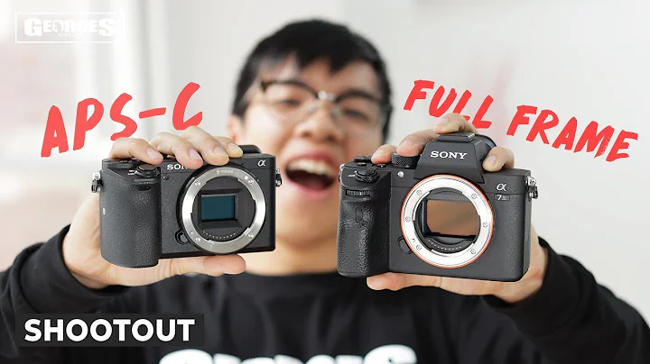 Full Frame vs APS-C | What are the differences & is it worth going full frame? - DayDayNews