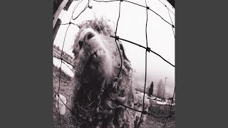 Video thumbnail of "Pearl Jam - Leash (Remastered)"