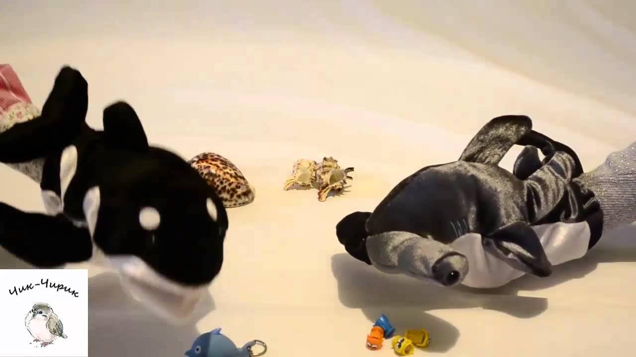 Мультик про Касатку и Акулу. Обучающий мультик для детей. - YouTube