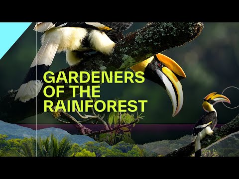 The Gardeners of