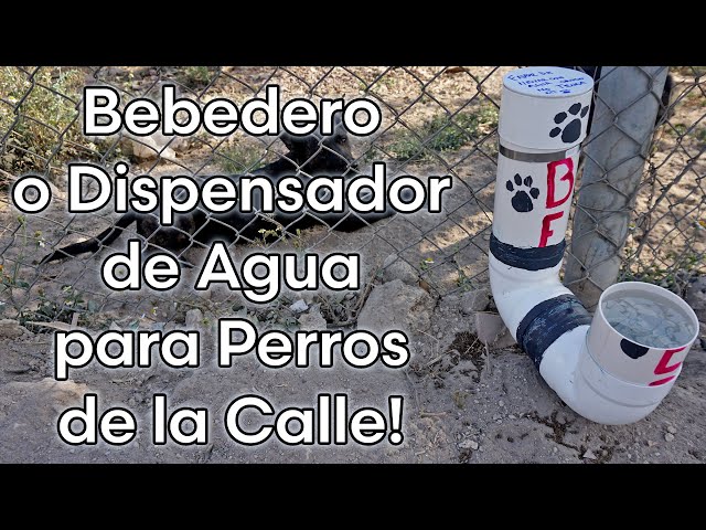 Soporte Beber Perro Grande Adaptador Bebedero Agua Portátil Recipiente  Dispensad