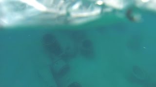 Juno Beach Reef - 07/14/2015 by Maximo Trinidad 176 views 8 years ago 1 minute, 37 seconds