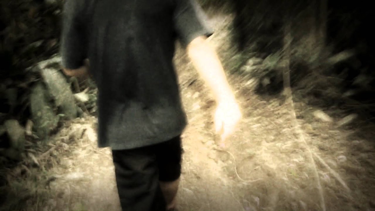 download blair witch 3 for free download blair witch 3 for free