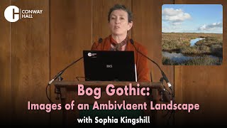 &#39;Bog Gothic: Images of an Ambivalent Landscape&#39;, with Sophia Kingshill