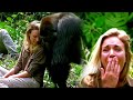 When This Woman Got Too Close to a Gorilla and The Unexpected Happened