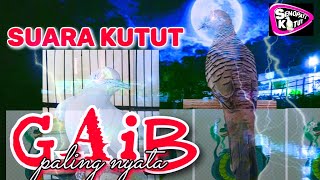 ASLI SUARA KUTUT GAIB