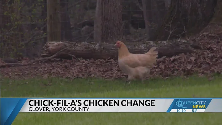 York County farmer explains Chick-fil-A chicken changes