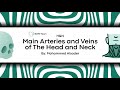 H&N | Main Arteries and Veins of The Head and Neck