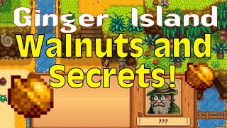 How to Start the Professor Snail Quest- More Walnuts and Secrets- Stardew Valley 1.5