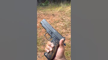 Sig Sauer P220 .45 ACP
