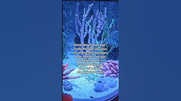 Setting Boundaries.             #selflove #selfcare #boundaries #fyp #selfgrowth