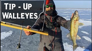 Catching TONS of First Ice Walleyes On TIP-UPS 