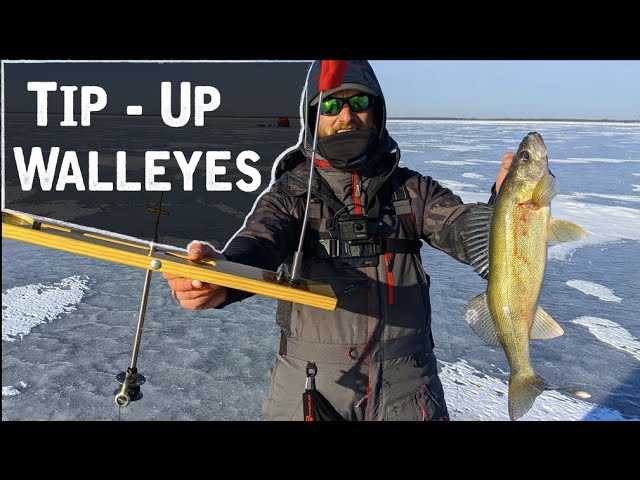 Catching TONS of First Ice Walleyes On TIP-UPS 