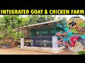 Simple Integrated Goat and Chicken Farm | Amazing Integrated Goat and Poultry Farm Design
