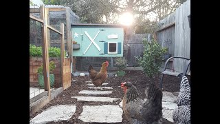 chicken backyard run coop tour