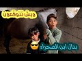 متحمسين لولادة كرم أكشنها مع البونيات وديناري