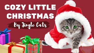 Jingle Cats sing Cozy Little Christmas | Katy Perry by MU6 - MusiX 3,048 views 2 years ago 1 minute, 36 seconds