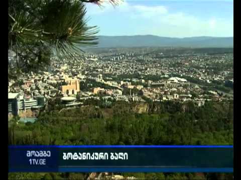 24 არასამთავრობო ბოტანიკურ ბაღთან დაკავშირებით აქციების გამართვას გეგმავს