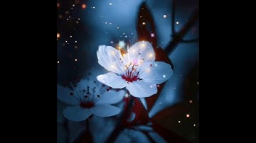 ومن يتق الله يجعل له مخرجًا... _ ( تلاوة مؤثرة ومبكية ) أجمل المقاطع الدينية _ حالات واتس اب دينية ✓