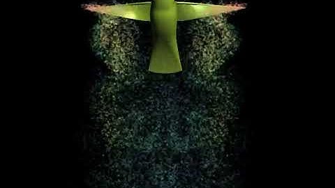 CFD Simulation of a Hovering Hummingbird