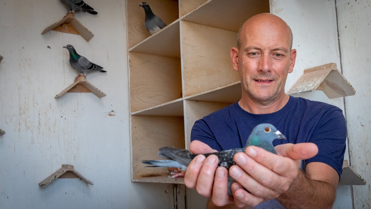 RÃ©sultat de recherche d'images pour "ad fortuin duiven"