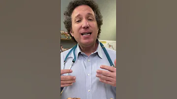 What Type Of Bone Is Safe For My Dog Ask A Veterinarian TikTok Shorts 