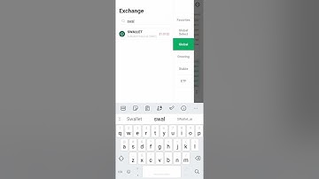 How to Buy $SWALLET Token from Hotbit Exchange. #swallet #swp