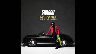 Shaggy - Money Up ft. Noah Powa (Official Audio)