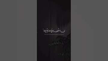 #القارئ_محمد_هشام_حسن #تلاوة_هادئة #محمد_هشام #سورة_البقرة #اية_الكرسي