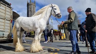 Ennistymon Horse Fair. 7 April, 2024.