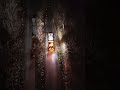 Truck SCANIA R V8 3BTRUCKS in Action Restoring Roads After Truck Accidents! #truck #lkw #caminhão