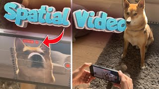 Apple Spatial Video in 3D! Shot on iPhone 15 Pro for Vision Pro & Meta Quest 3