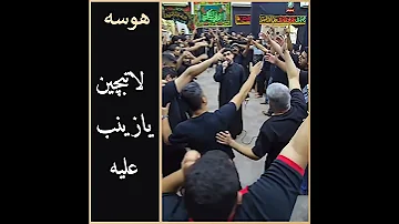 هوسات بحرانية الرادود حسين العشيري ليلة استشهاد الإمام الحسن المجتبى ع قرية الدير 1447 هـ 