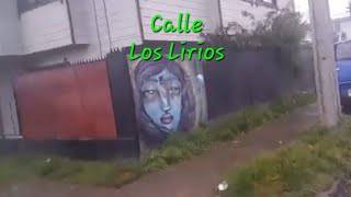 Calle Los Lirios, Coyhaique, Chile