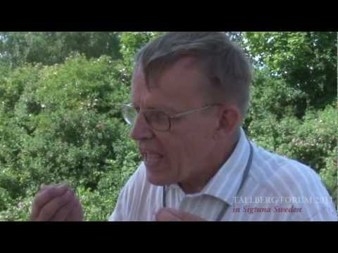 Interview with Hans Rosling at the Tällberg Forum 2011