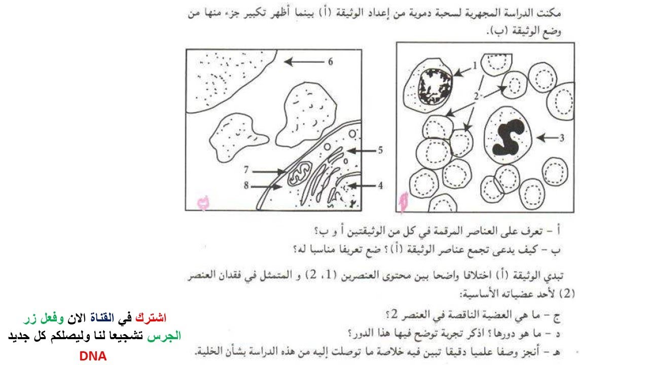 تمارين فروض واختبارات الفصل الثاني علوم طبيعية السنة الثانية ثانوي 2 ع ت | 53