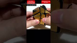 Famous WindMirror Cube #tutorial #rubik #reels #youtuber #yt #rubikscubetutorial #rubikscube #shortvideo Net Worth